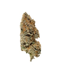 Okanaganja - Truffle Monkey