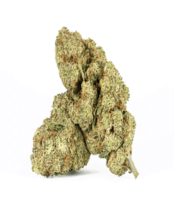 Astral Herbs - Extreme Cream