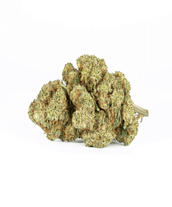 Astral Herbs - Extreme Cream