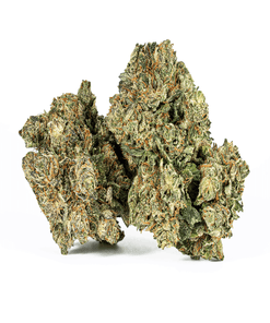Astral Herb - Purple Kush