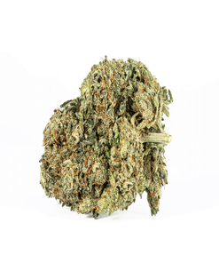 Astral Herb - Purple Kush
