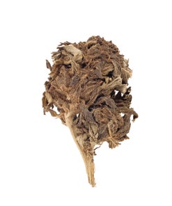 People's Choice -  Chemo Kush