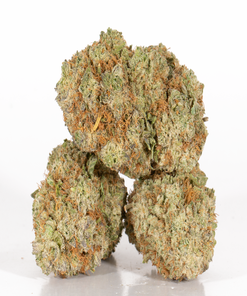 BC Legacy - Yoda OG