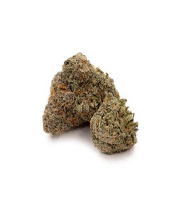 Cream Of The Crop - Gelato Push Pop