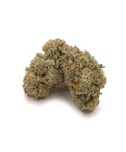 Cream Of The Crop - Platinum Gucci