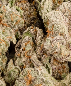 MuM's Cannabis - War Bird (Smalls)
