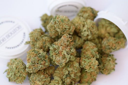 order Chocolope today