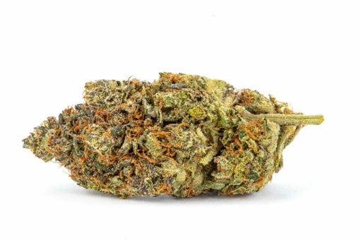 Mk-ultra-strain