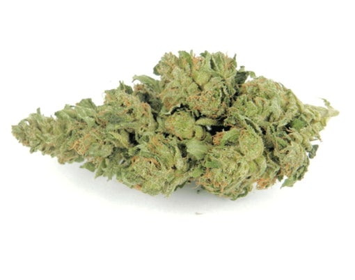 order master kush weed
