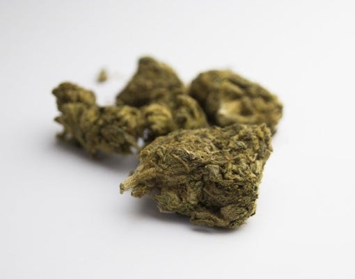 white widow Strain