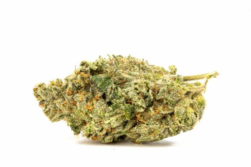 Headbanger strain