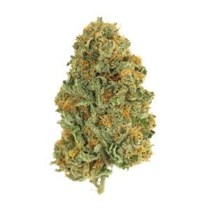 lemon skunk strain