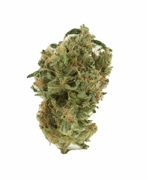 Greasy Pink Bubba
