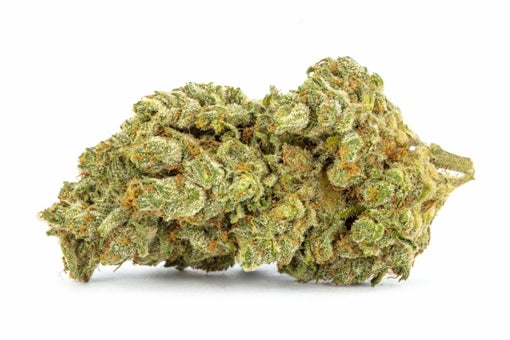 Sour-tangie-strain
