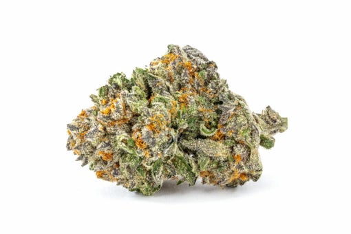 Clementine Punch Strain
