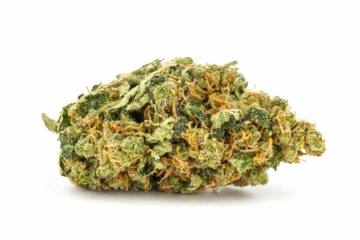 Moby Dick Strain