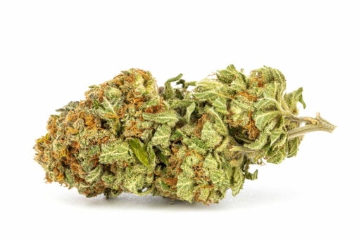 420 carat strain