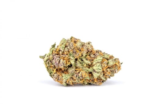Ice Age strain