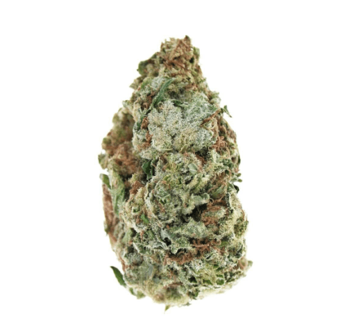 bubblegum Kush strain