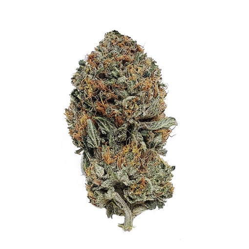 El Jefe Strain