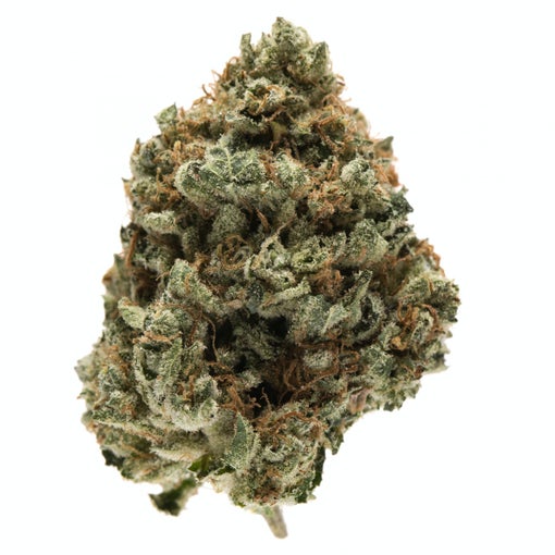 Kosher Kush Strain