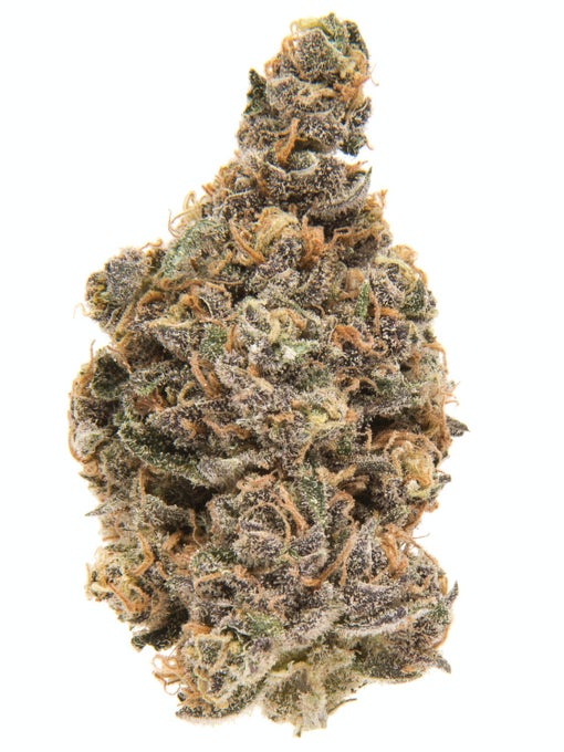King Tut Strain