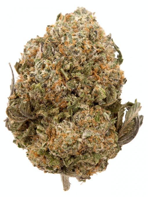 Cookie monster Strain
