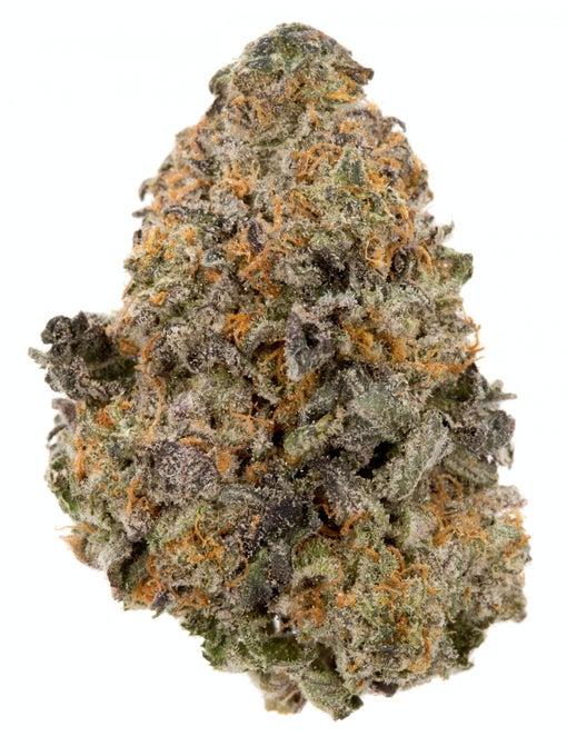 Gelato 45