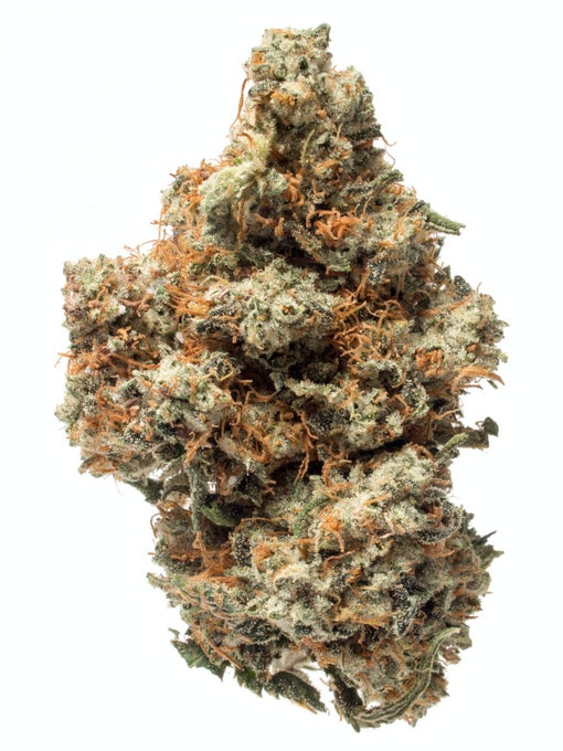 King Louis XIII