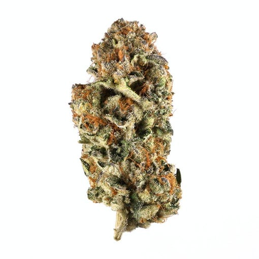 Lip Slacker Strain