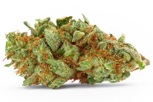 Cherry Bomb Strain