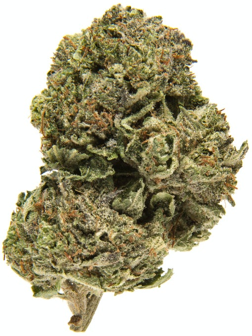 Platinum Bubba Kush