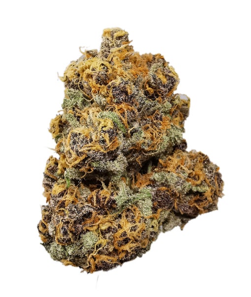 Woolly Mammoth
