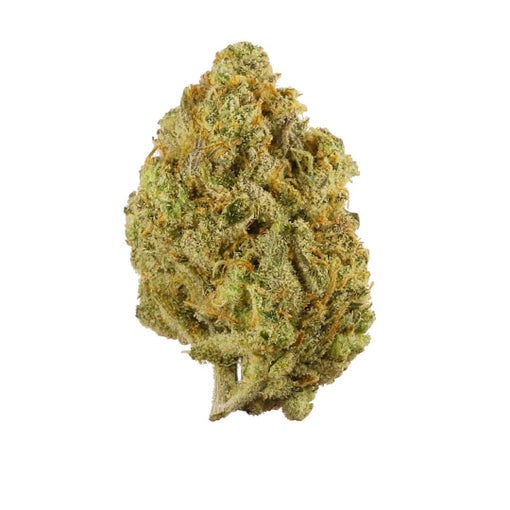 10th planet strain