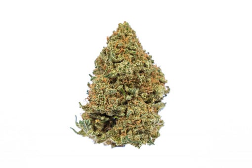 El Jefe Strain