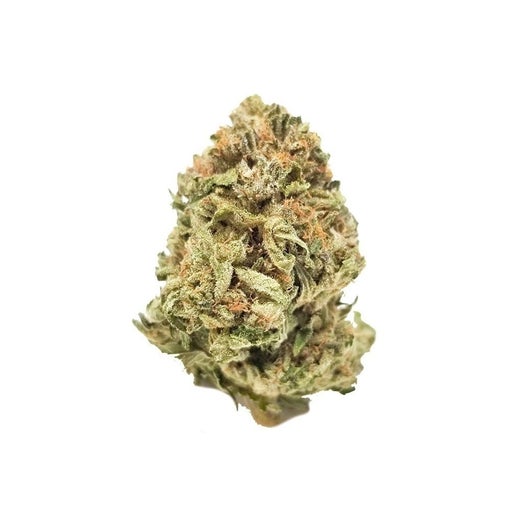 Garlic Cookies Strain