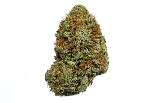 Orange sherbet strain