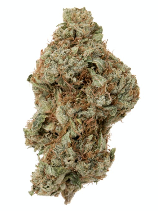 Tangerine Dream strain