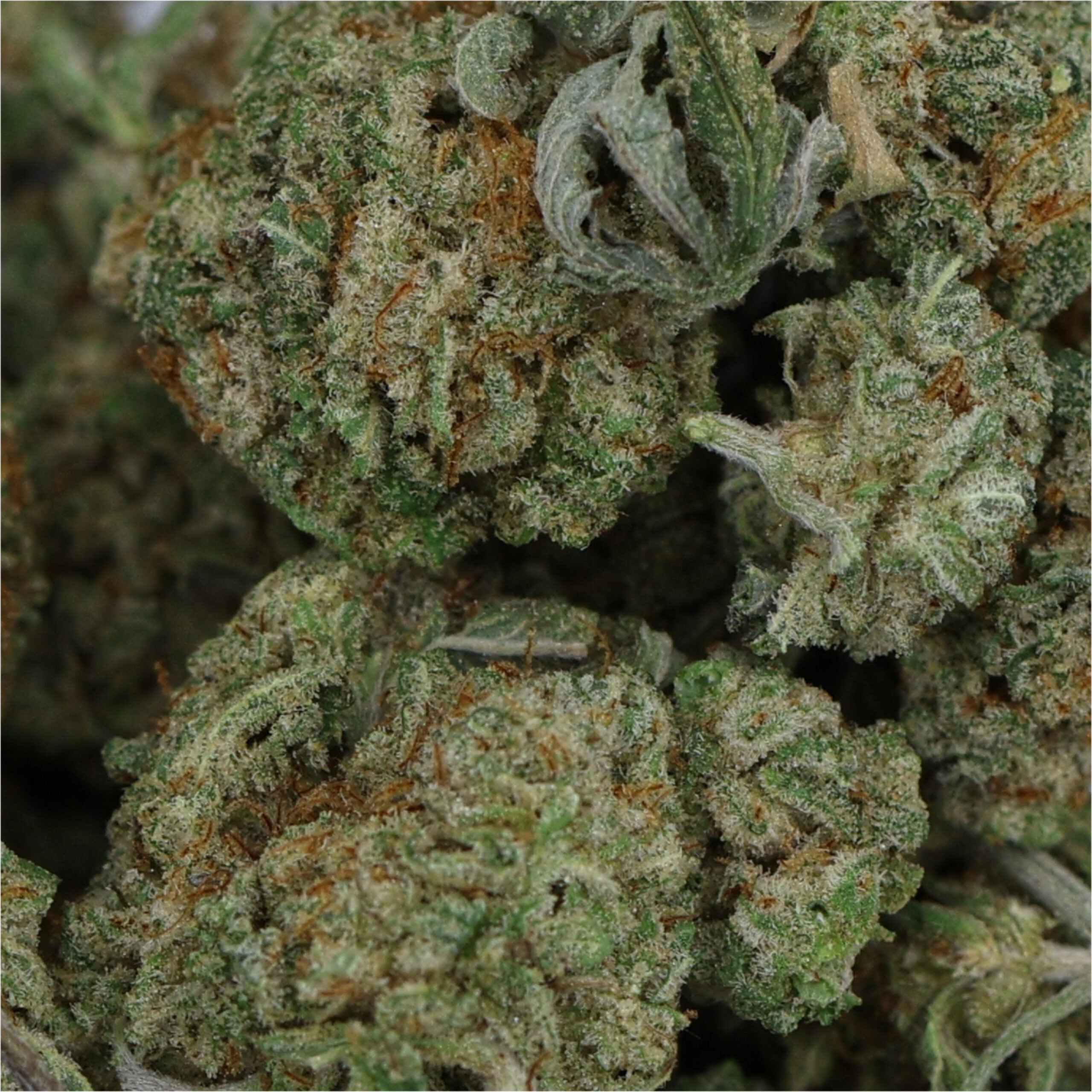 LuckyFarms-Alien-Cookies-Smalls-02