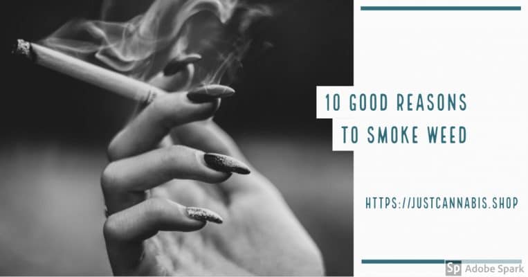 My Post 4 e1563832846462