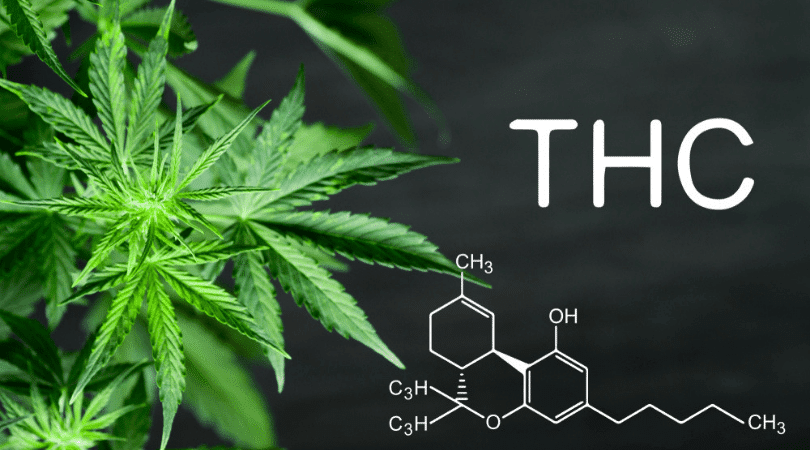 THC Dosages A Descriptive Guide
