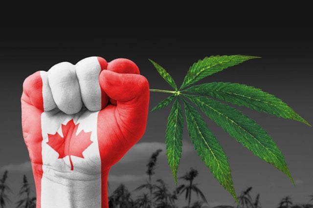 election weed 3