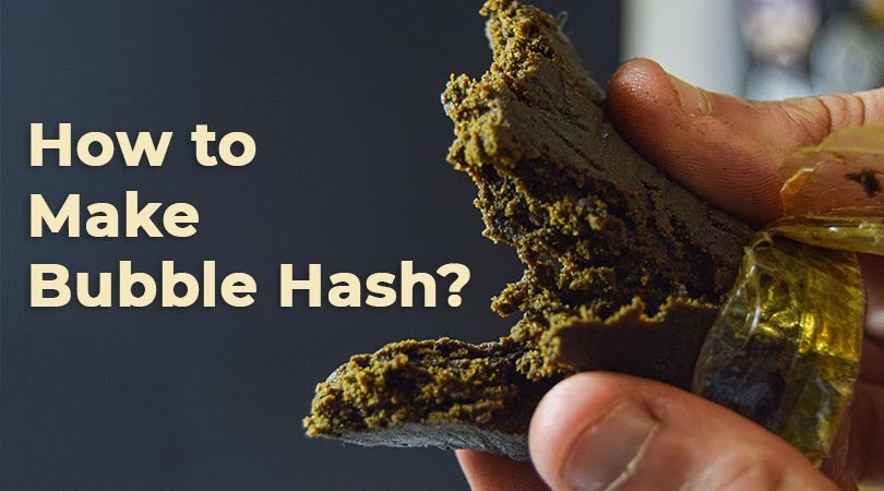 How to Make Bubble Hash 1
