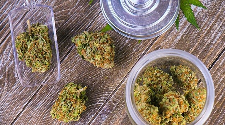 What-is-Marijuana