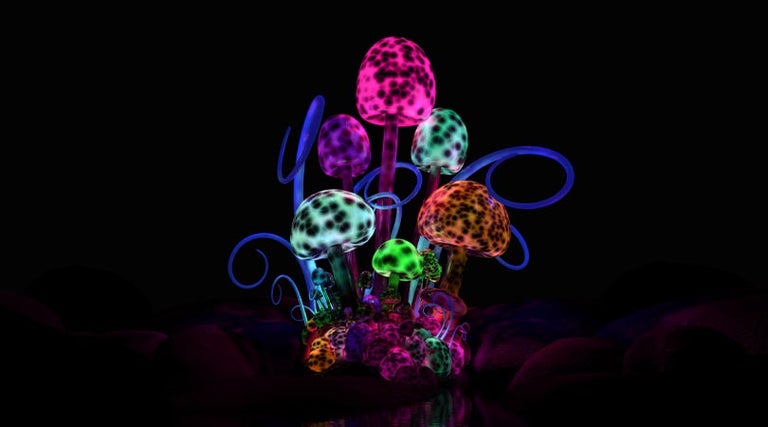 Different-Types-Of-Shrooms