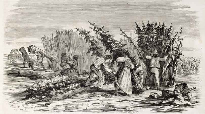 History-of-Cannabis-Legalization-in-Canada