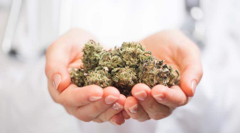 Best White Marijuana Strains in the World