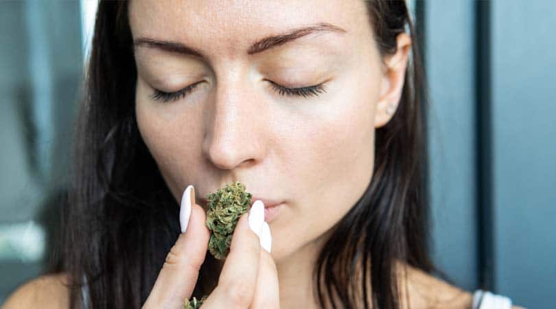 How To Get Rid Of The Smell Of Weed