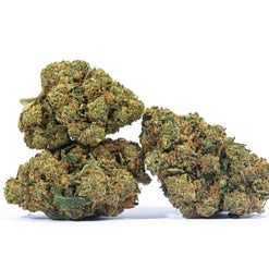 Atomic Bomb Weed Strain