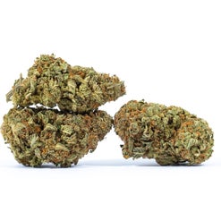 Duke Nukem cannabis strain